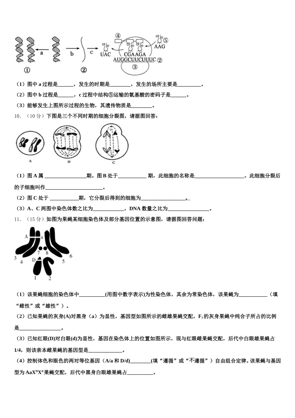 2025届云南省怒江州贡山三中高一下生物期末预测试题含解析_第3页