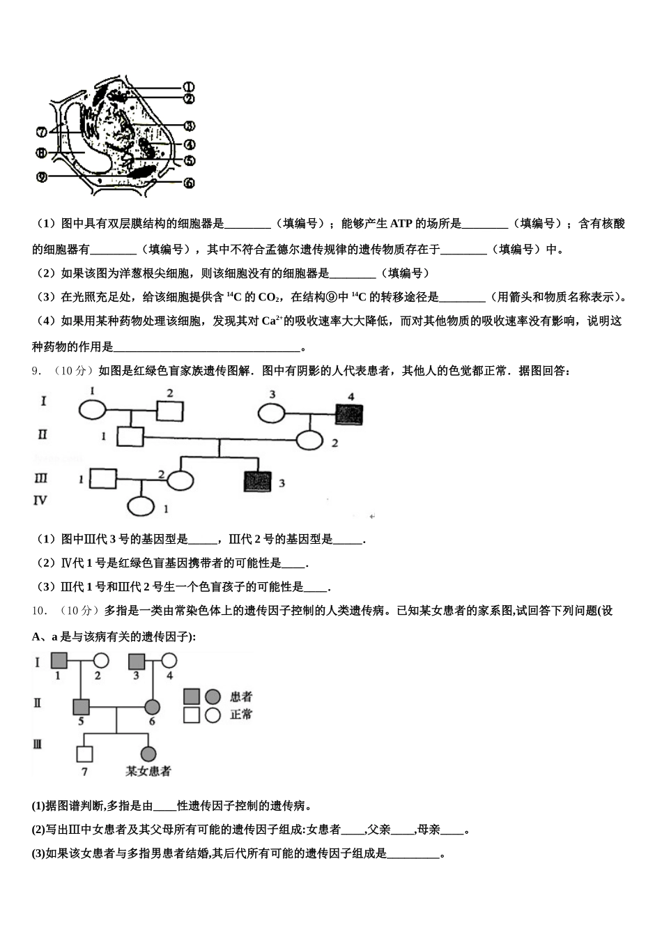云南省昭通市2024-2025学年高一生物第二学期期末学业水平测试模拟试题含解析_第3页