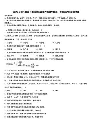 2024-2025学年云南省建水县第六中学生物高一下期末达标检测试题含解析
