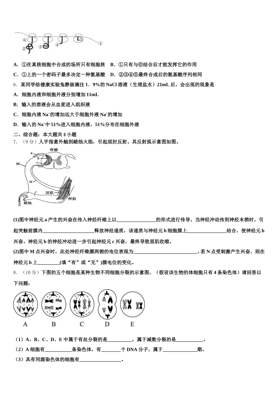 云南省安宁市实验石江学校2025年生物高一第二学期期末考试模拟试题含解析_第2页