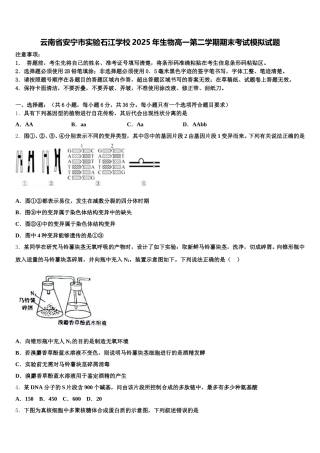 云南省安宁市实验石江学校2025年生物高一第二学期期末考试模拟试题含解析