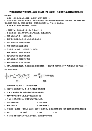 云南省昆明市云南师范大学附属中学2025届高一生物第二学期期末检测试题含解析