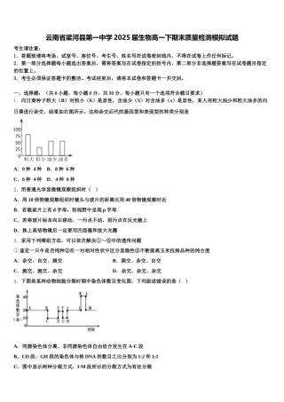 云南省梁河县第一中学2025届生物高一下期末质量检测模拟试题含解析