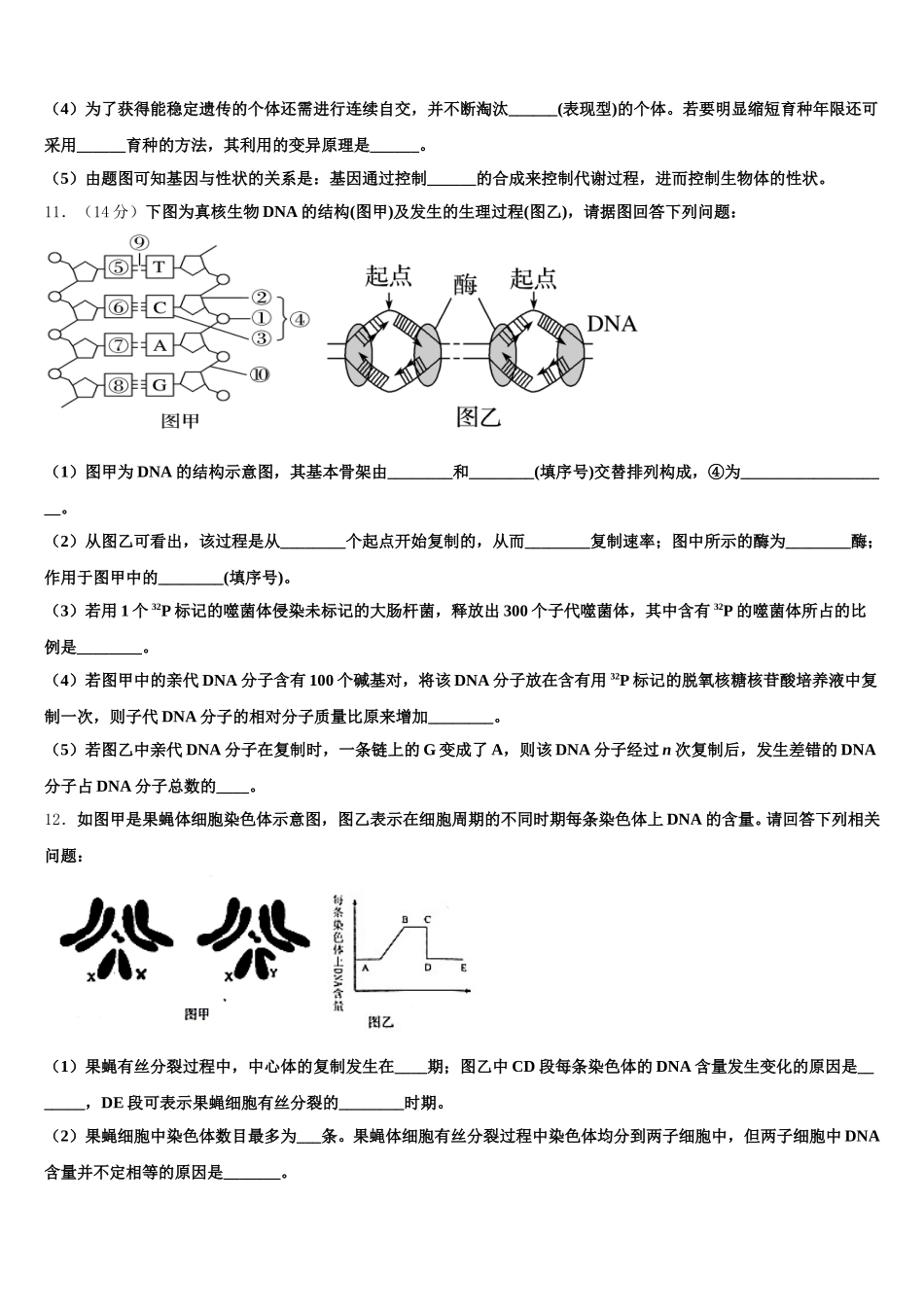 保山市重点中学2024-2025学年高一下生物期末质量跟踪监视试题含解析_第3页