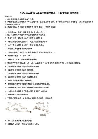 2025年云南省玉溪第二中学生物高一下期末综合测试试题含解析