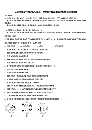 云南省华宁二中2025届高一生物第二学期期末达标检测模拟试题含解析