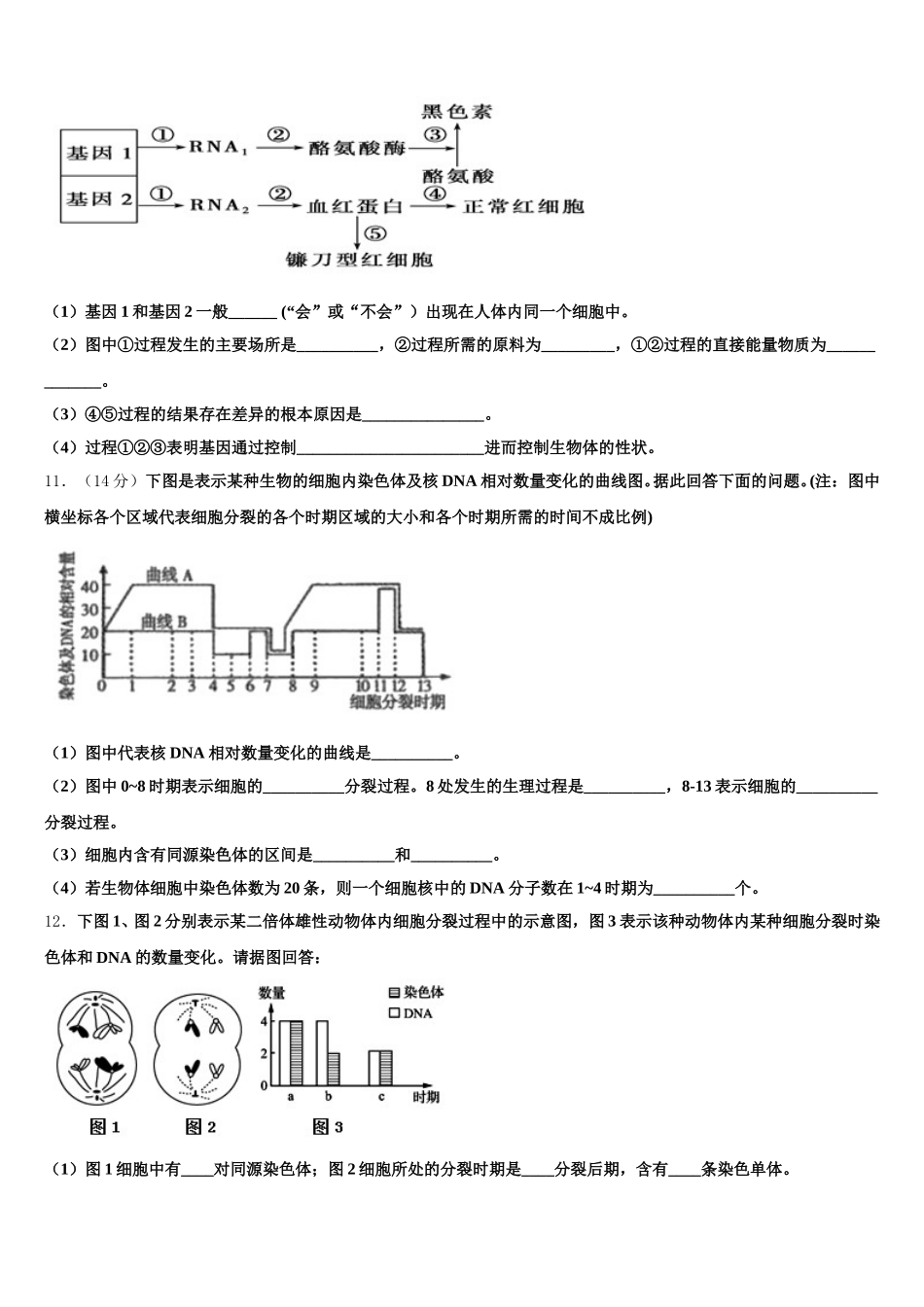云南省红河州2025年高一下生物期末质量跟踪监视试题含解析_第3页
