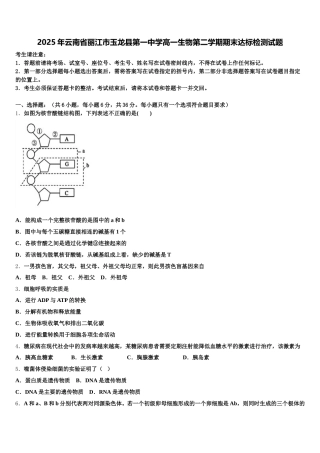 2025年云南省丽江市玉龙县第一中学高一生物第二学期期末达标检测试题含解析
