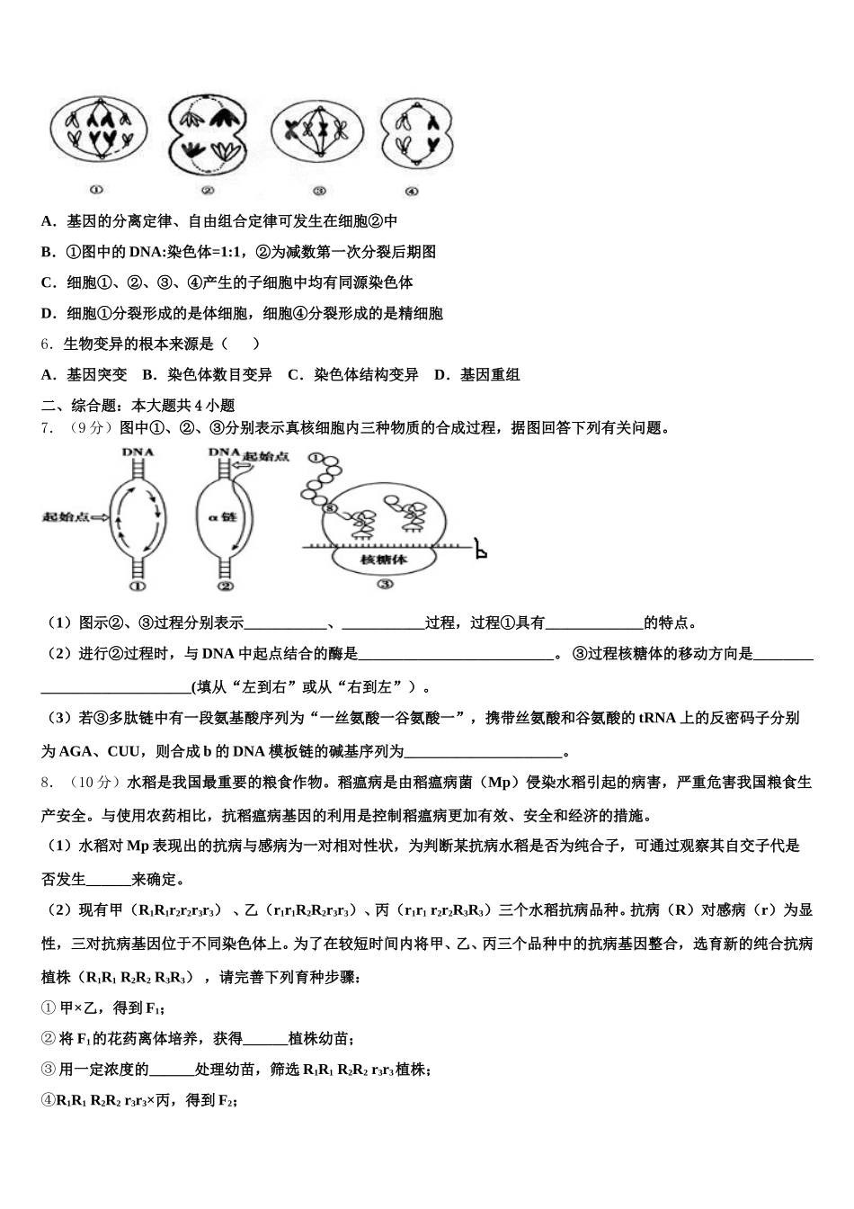 2025年云南省泸水市第一中学生物高一下期末质量跟踪监视试题含解析_第2页