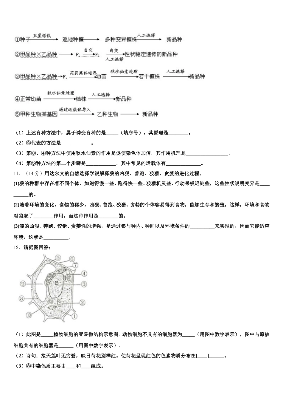 2025届云南省沾益县一中高一生物第二学期期末综合测试模拟试题含解析_第3页
