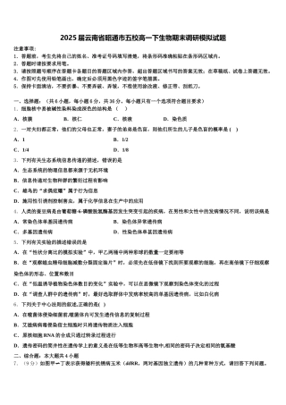 2025届云南省昭通市五校高一下生物期末调研模拟试题含解析