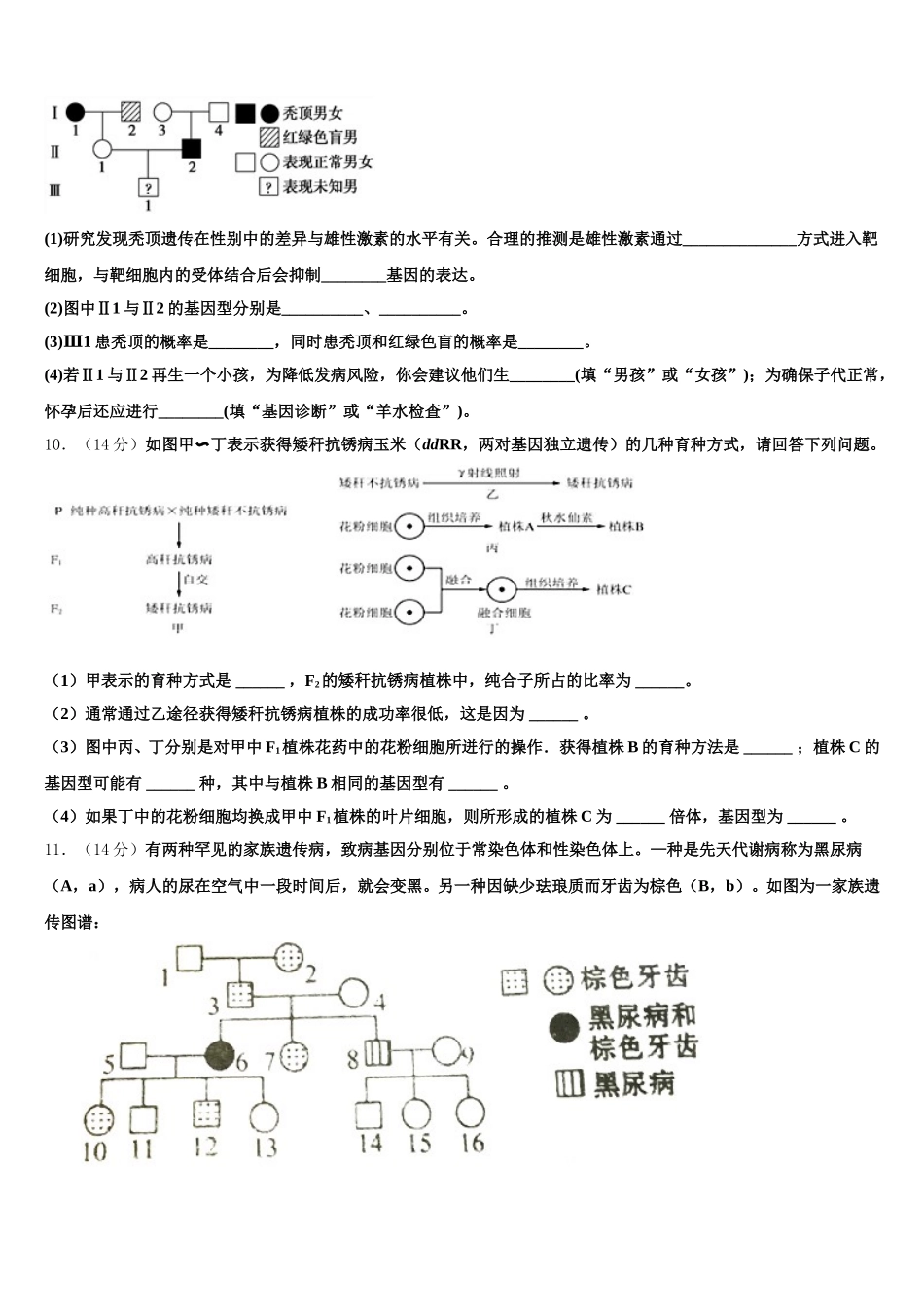 2025届云南省楚雄州民族实验中学高一下生物期末质量跟踪监视模拟试题含解析_第3页