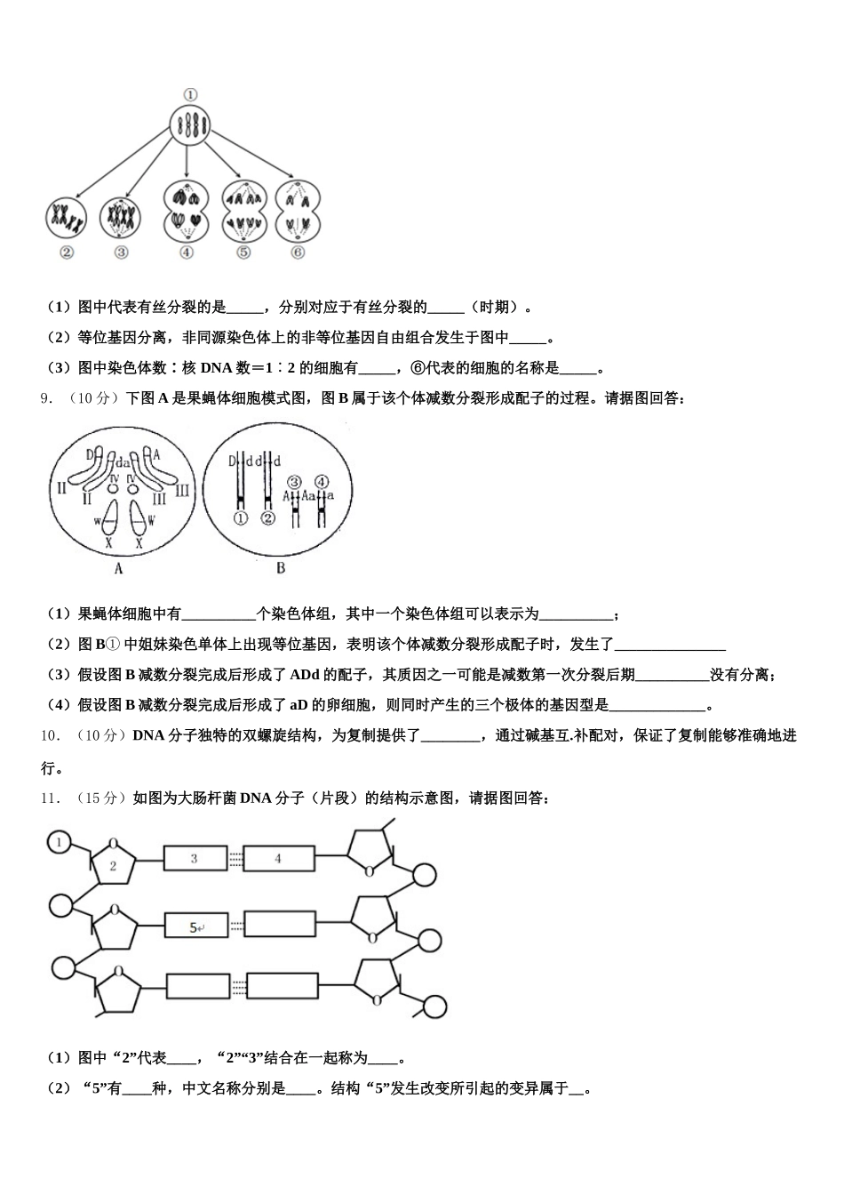 2025年云南省西畴县二中生物高一下期末预测试题含解析_第3页