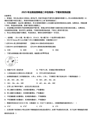 2025年云南省西畴县二中生物高一下期末预测试题含解析