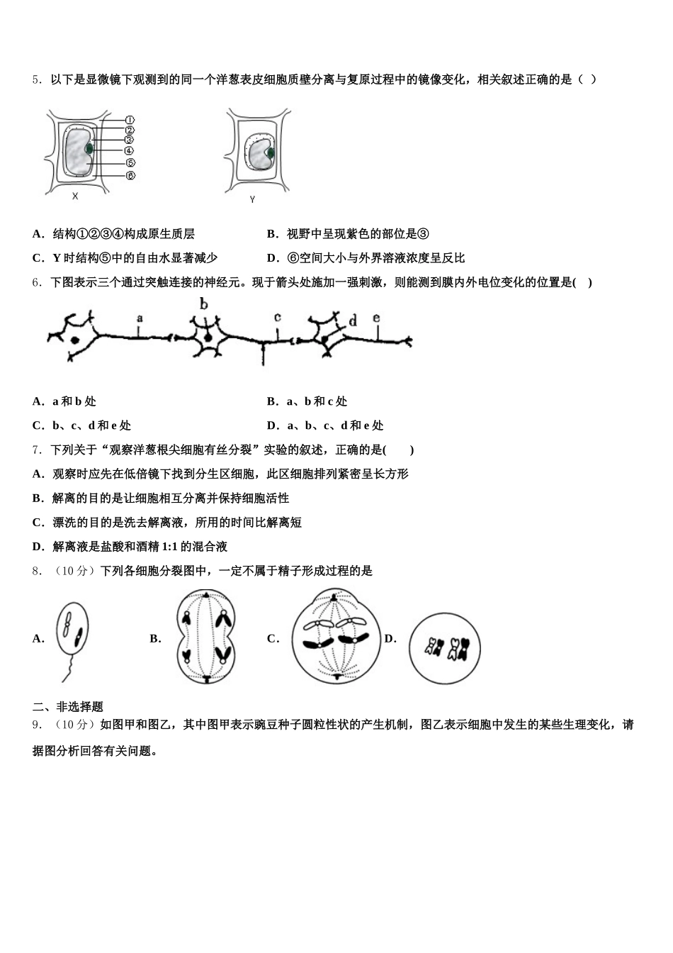 云南省育能高级中学2025年高一下生物期末学业质量监测模拟试题含解析_第2页