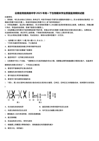云南省育能高级中学2025年高一下生物期末学业质量监测模拟试题含解析
