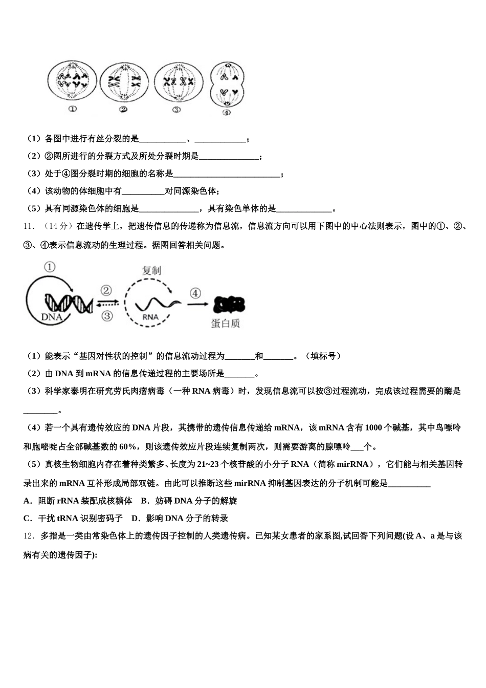 云南省玉溪市富良棚中学2025届生物高一下期末考试试题含解析_第3页