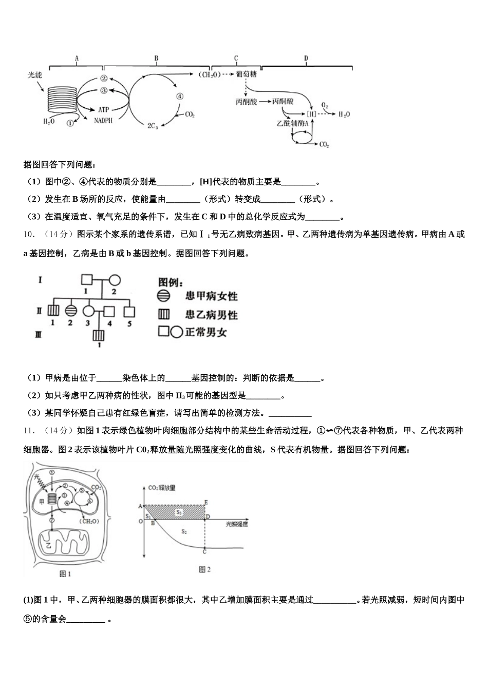 2025年云南民族大学附属中学高一生物第二学期期末考试模拟试题含解析_第3页