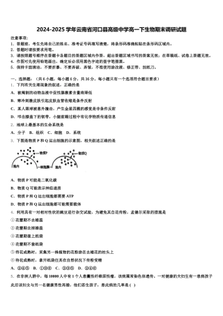 2024-2025学年云南省河口县高级中学高一下生物期末调研试题含解析