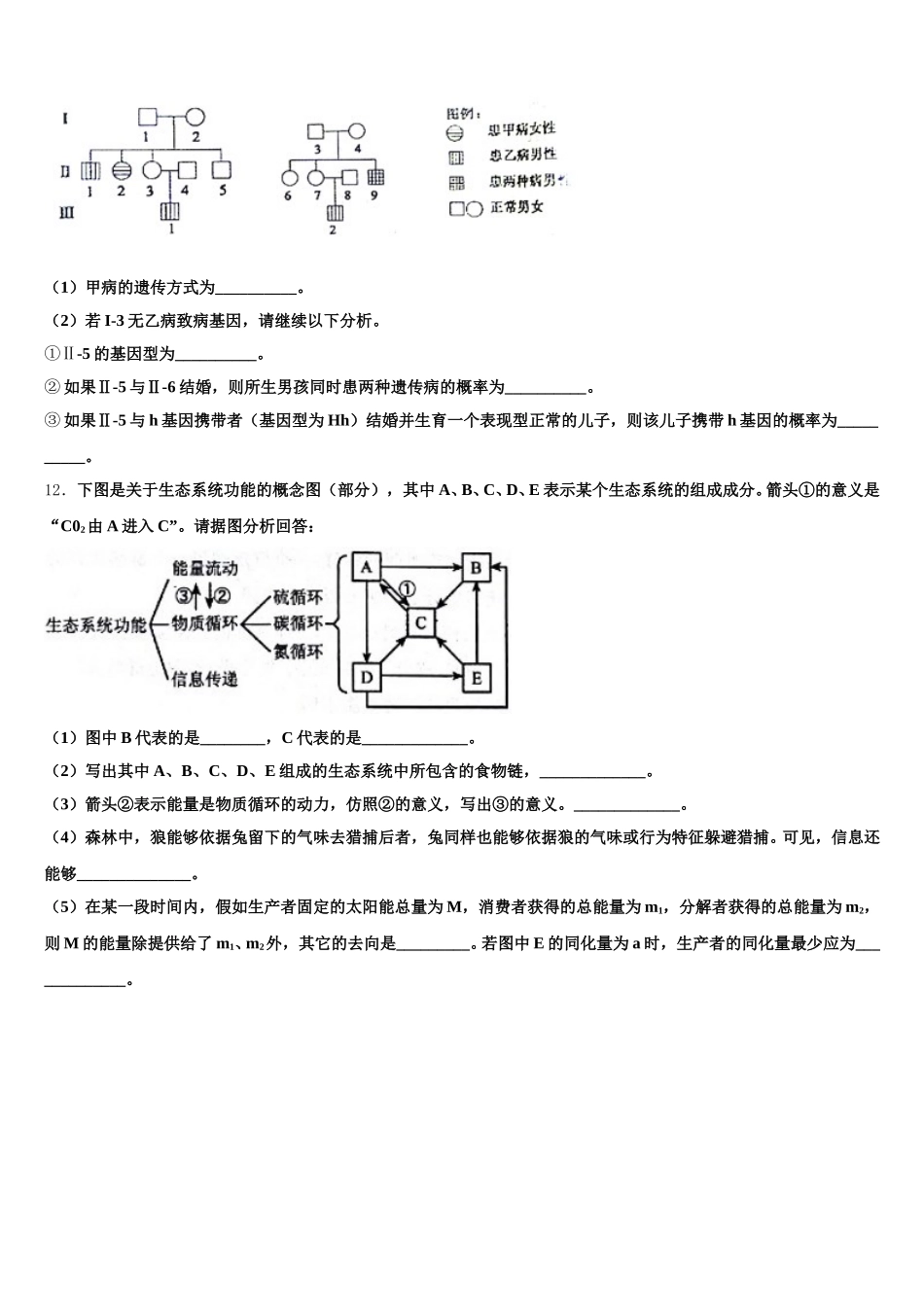 云南省云南民族中学2025年高一下生物期末检测试题含解析_第3页
