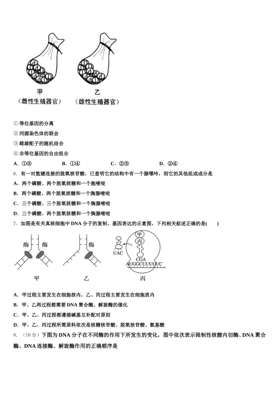 2025届云南省丘北县第二中学生物高一第二学期期末调研试题含解析_第2页