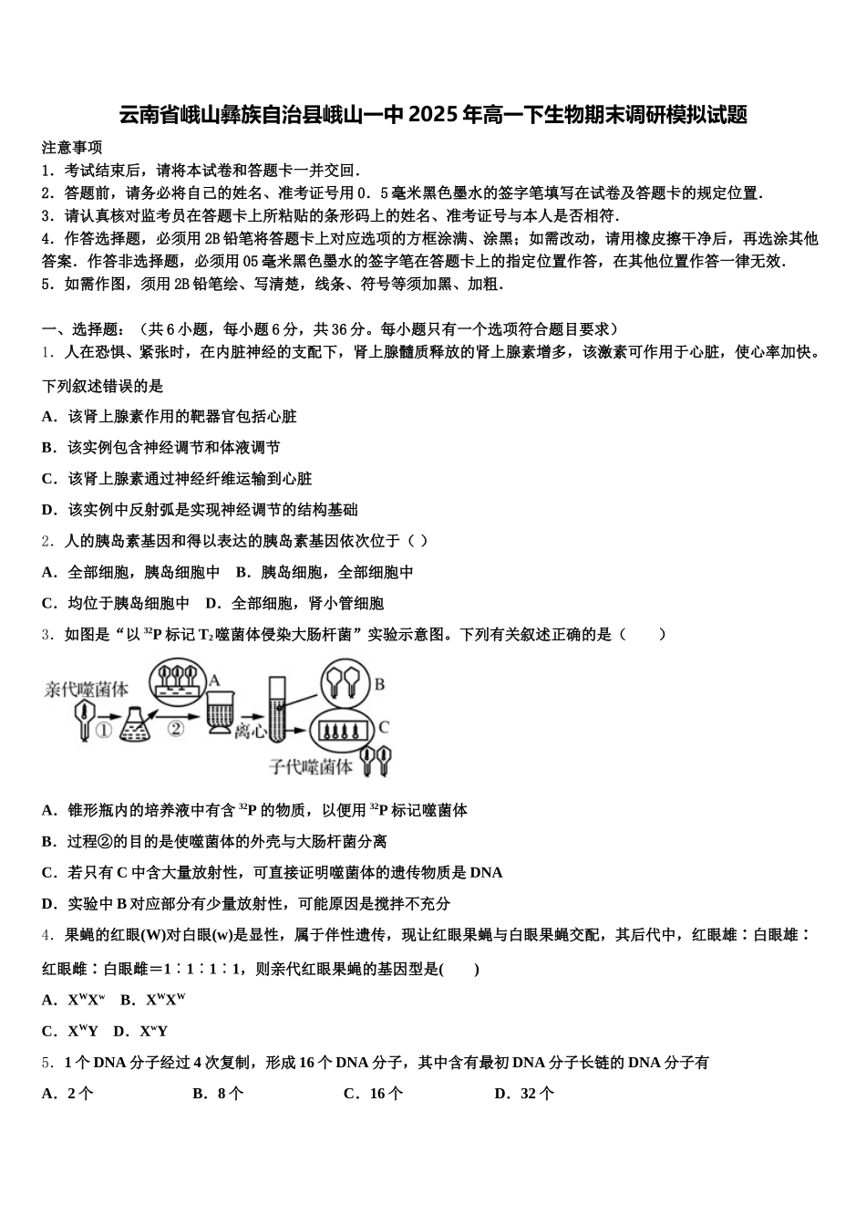 云南省峨山彝族自治县峨山一中2025年高一下生物期末调研模拟试题含解析_第1页