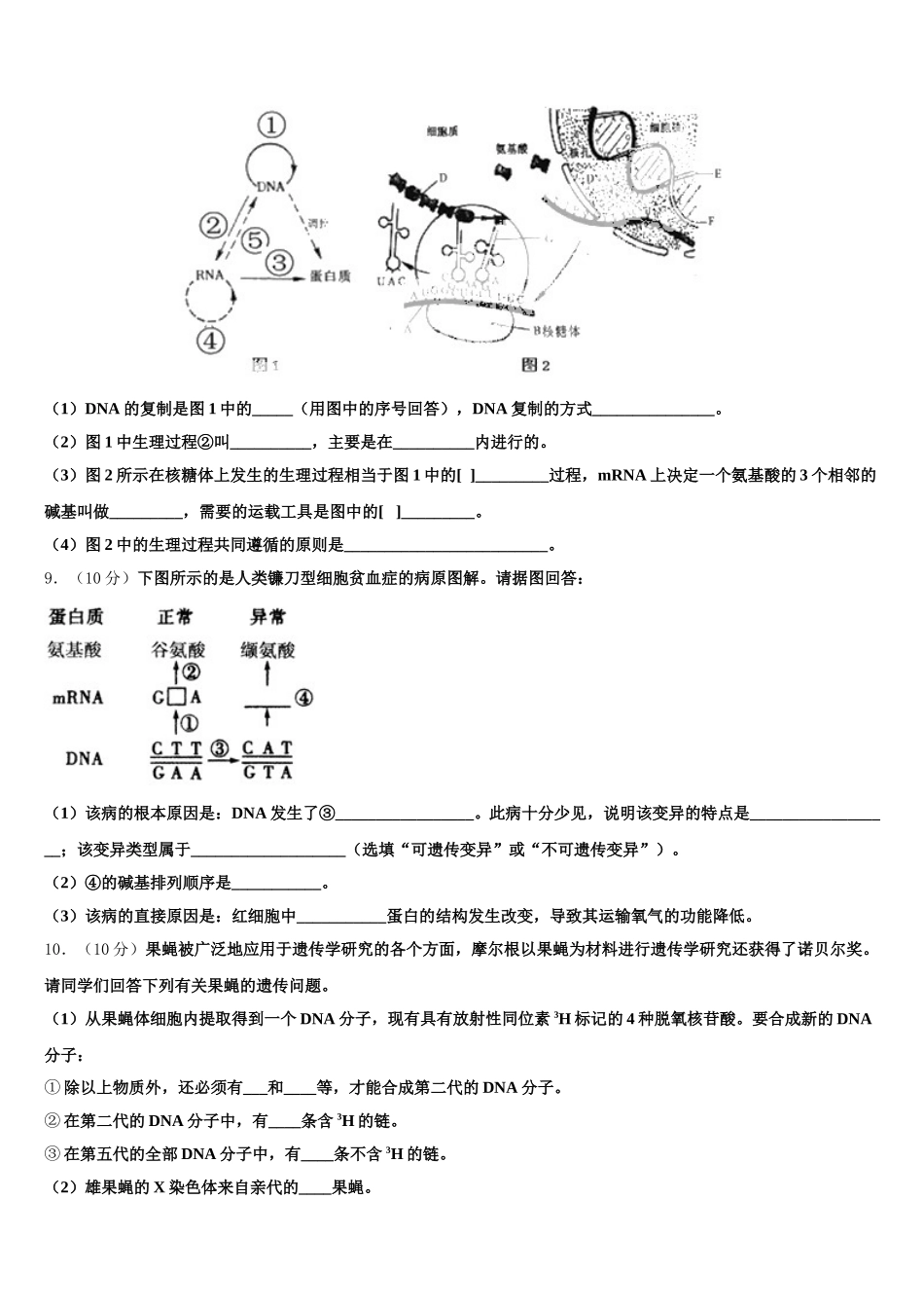 云南省峨山彝族自治县峨山一中2025年高一下生物期末调研模拟试题含解析_第3页