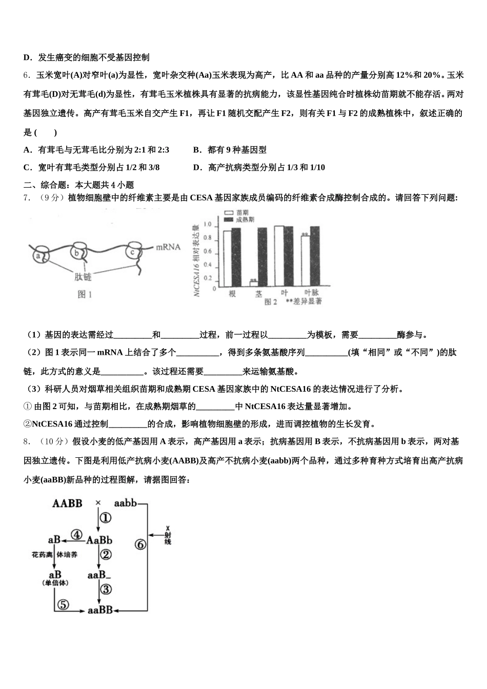 2025届云南省富源县第六中学高一生物第二学期期末综合测试模拟试题含解析_第2页