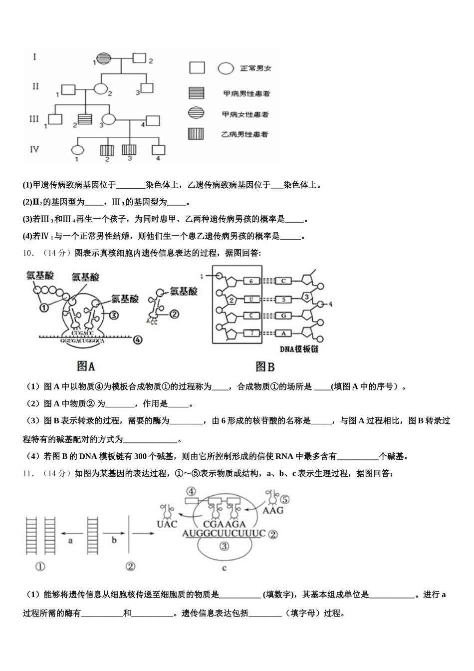 楚雄市重点中学2025年高一下生物期末监测试题含解析_第3页