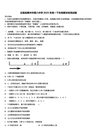 云南省腾冲市第八中学2025年高一下生物期末检测试题含解析
