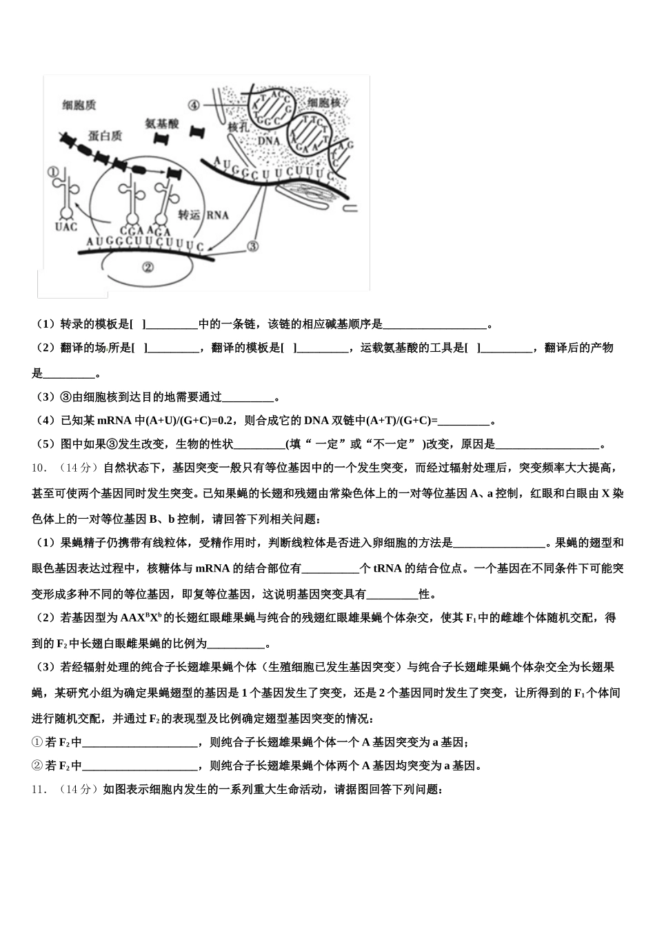 云南省石屏县一中2025年生物高一下期末达标检测试题含解析_第2页