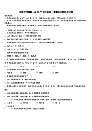 云南省石屏县一中2025年生物高一下期末达标检测试题含解析