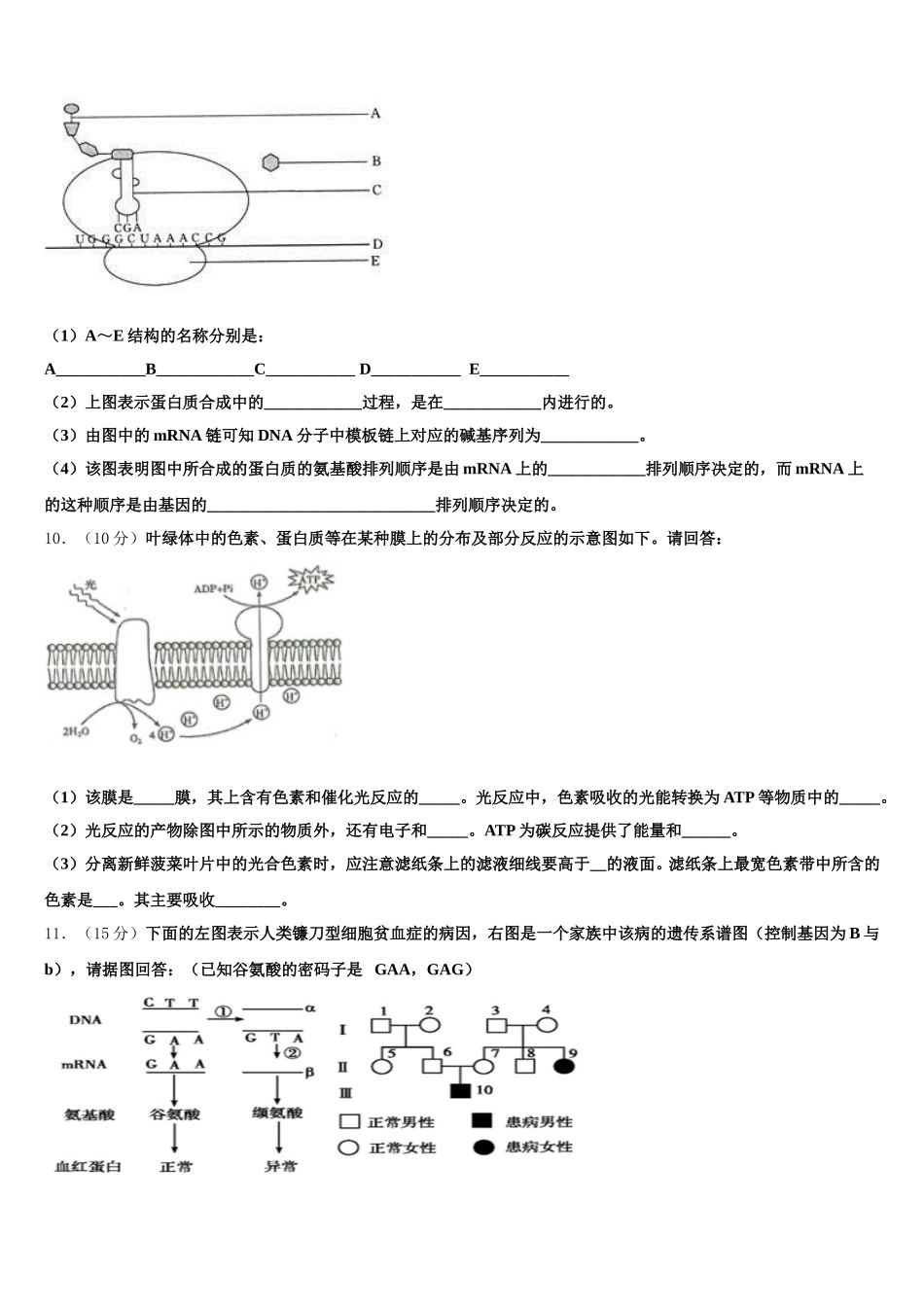 2025年云南省腾冲市第八中学生物高一下期末联考模拟试题含解析_第3页