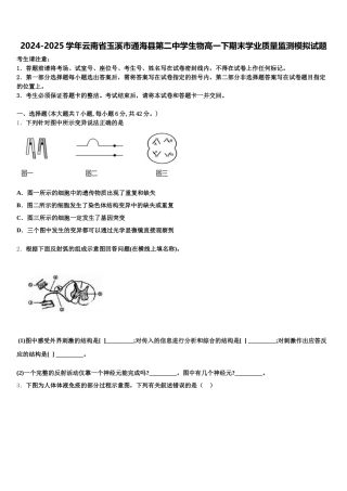 2024-2025学年云南省玉溪市通海县第二中学生物高一下期末学业质量监测模拟试题含解析