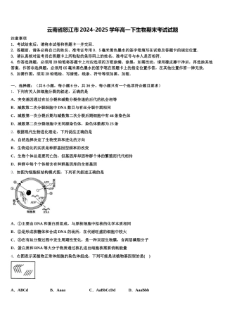 云南省怒江市2024-2025学年高一下生物期末考试试题含解析