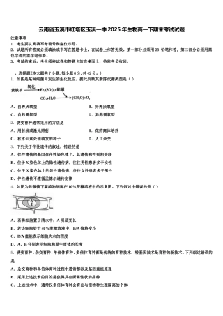 云南省玉溪市红塔区玉溪一中2025年生物高一下期末考试试题含解析