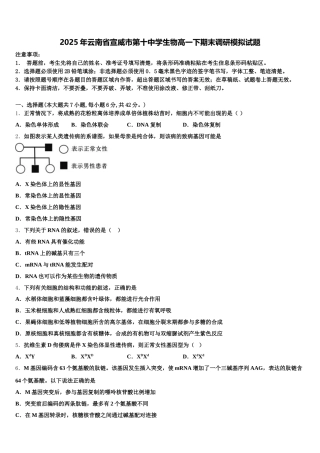 2025年云南省宣威市第十中学生物高一下期末调研模拟试题含解析