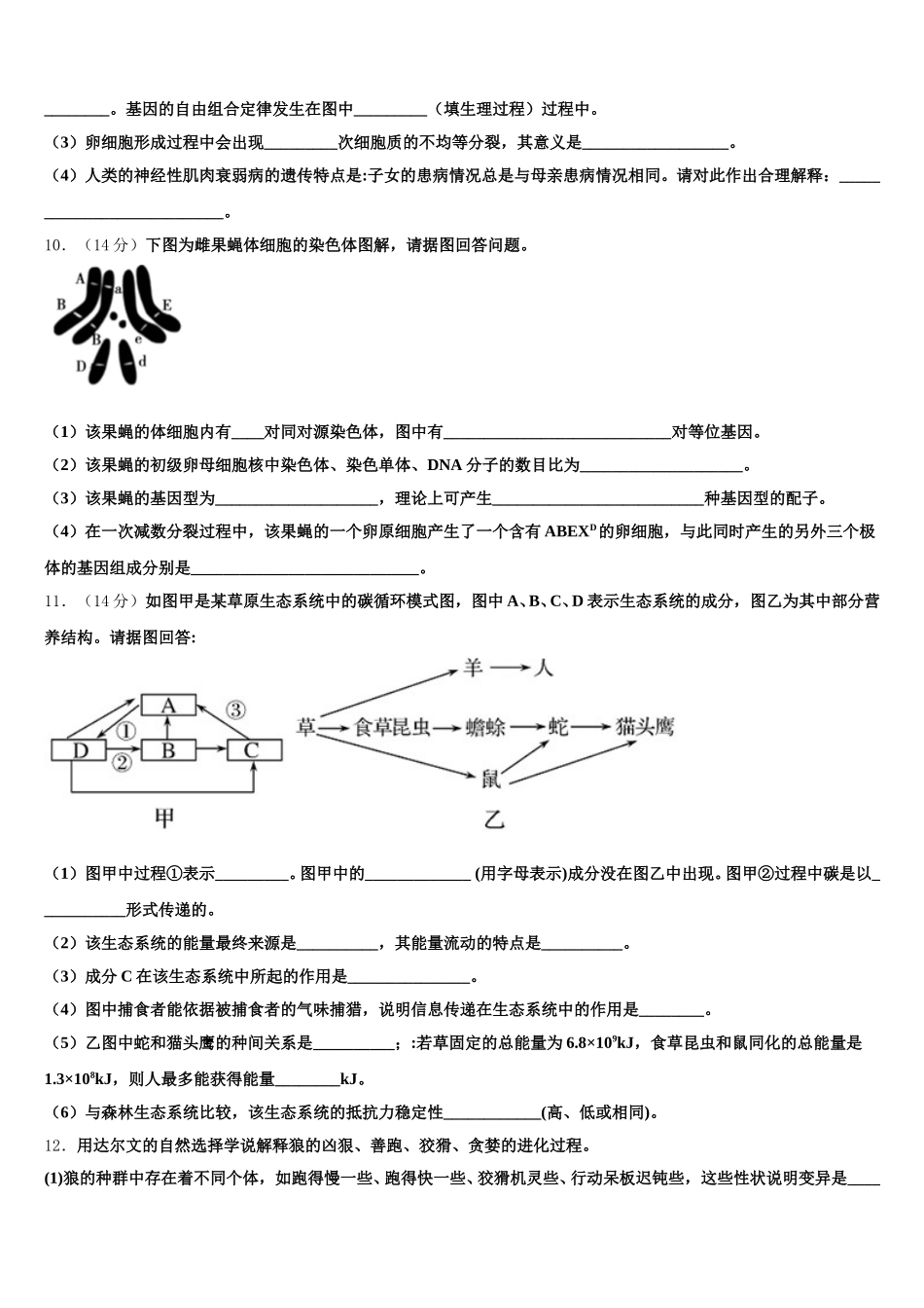云南省玉溪市元江第一中学2025年高一下生物期末统考试题含解析_第3页