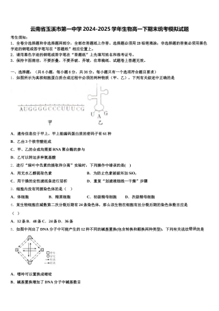 云南省玉溪市第一中学2024-2025学年生物高一下期末统考模拟试题含解析