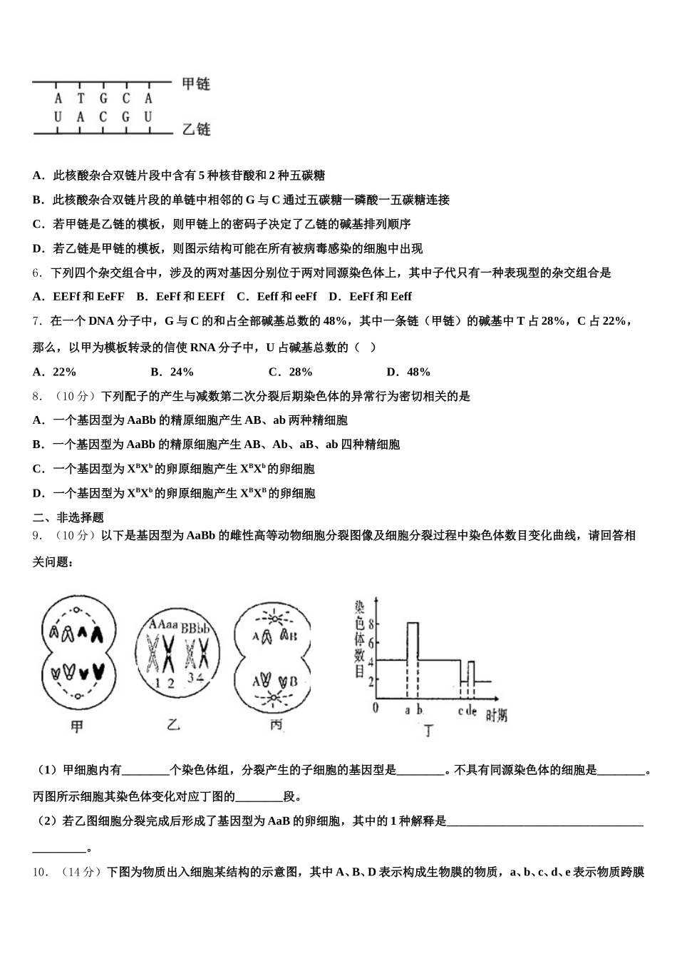 2025年云南省红河州泸西县第一中学生物高一下期末经典试题含解析_第2页
