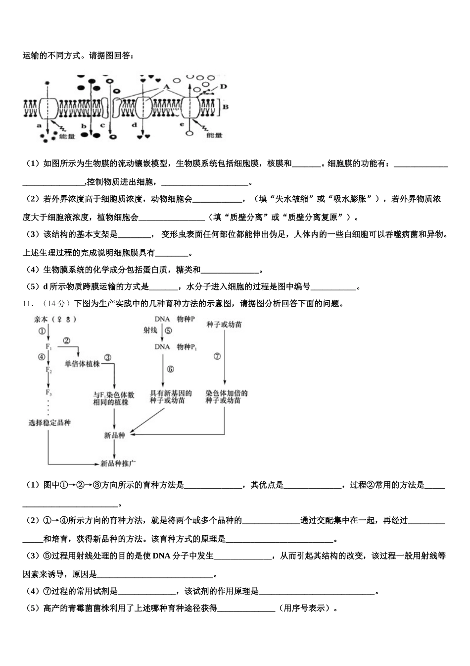 2025年云南省红河州泸西县第一中学生物高一下期末经典试题含解析_第3页