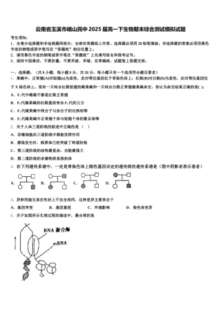 云南省玉溪市峨山民中2025届高一下生物期末综合测试模拟试题含解析
