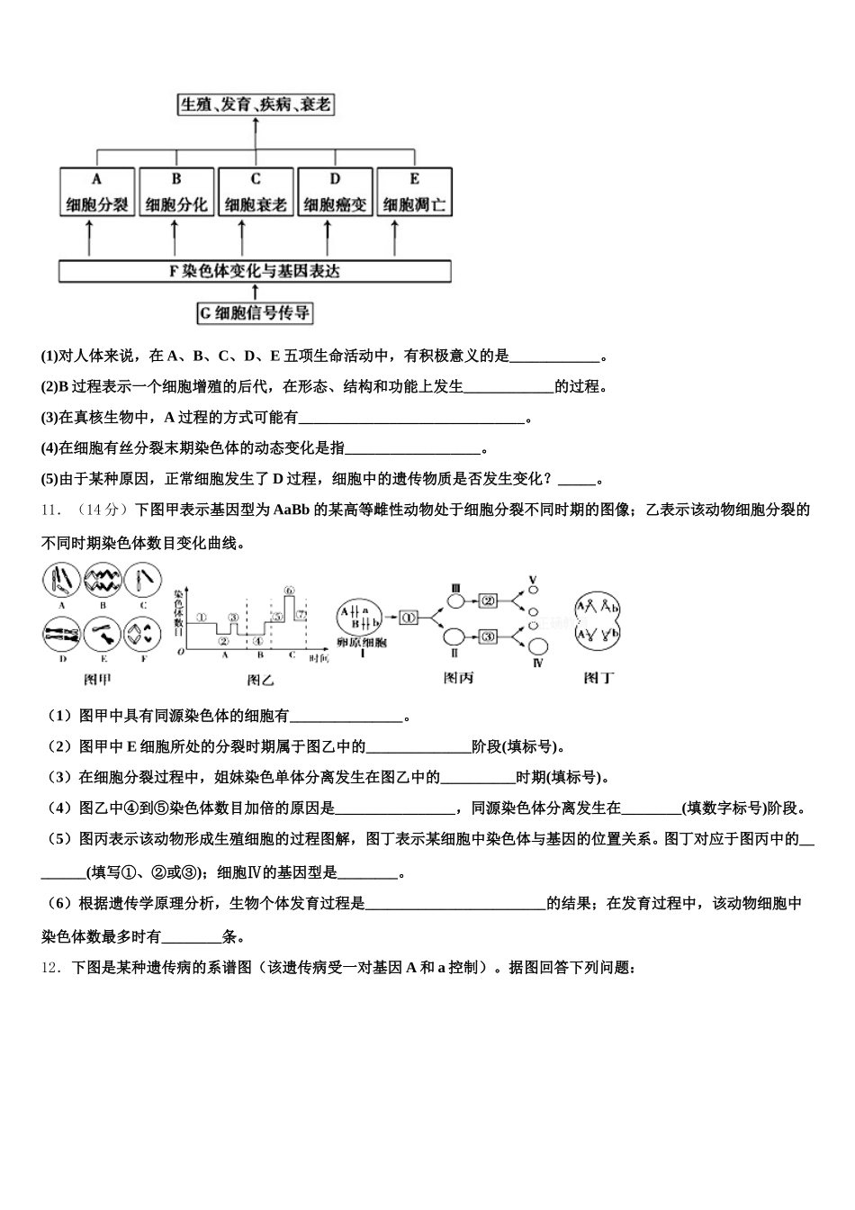 云南省达标名校2024-2025学年生物高一下期末检测模拟试题含解析_第3页