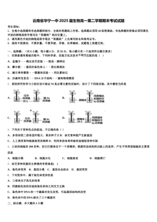 云南省华宁一中2025届生物高一第二学期期末考试试题含解析