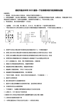 德宏市重点中学2025届高一下生物期末复习检测模拟试题含解析