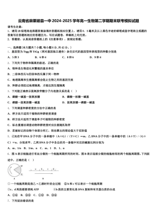 云南省麻栗坡县一中2024-2025学年高一生物第二学期期末联考模拟试题含解析