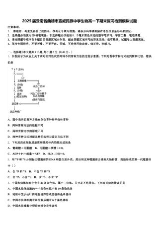 2025届云南省曲靖市宣威民族中学生物高一下期末复习检测模拟试题含解析