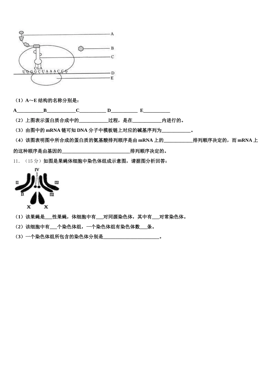 云南省镇沅县第一中学2025届高一生物第二学期期末综合测试试题含解析_第3页