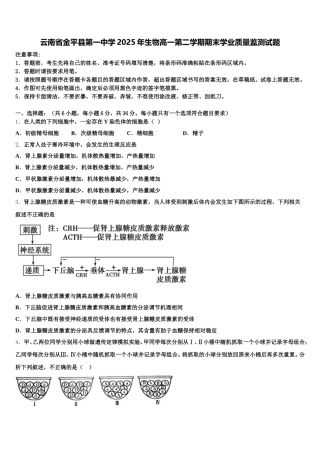 云南省金平县第一中学2025年生物高一第二学期期末学业质量监测试题含解析