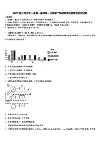 2025年云南省文山州第一中学高一生物第二学期期末教学质量检测试题含解析